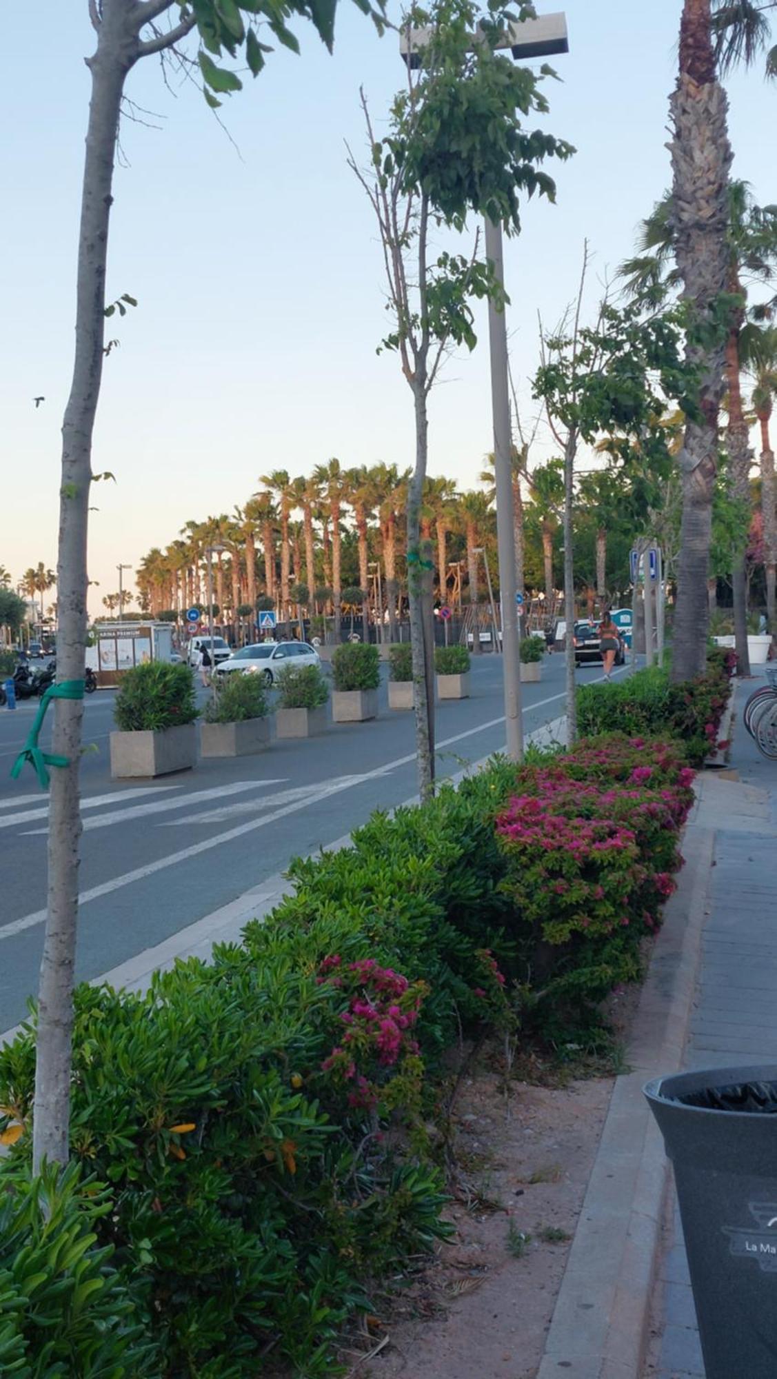 Lyesblb Aparthotel Valencia Ngoại thất bức ảnh