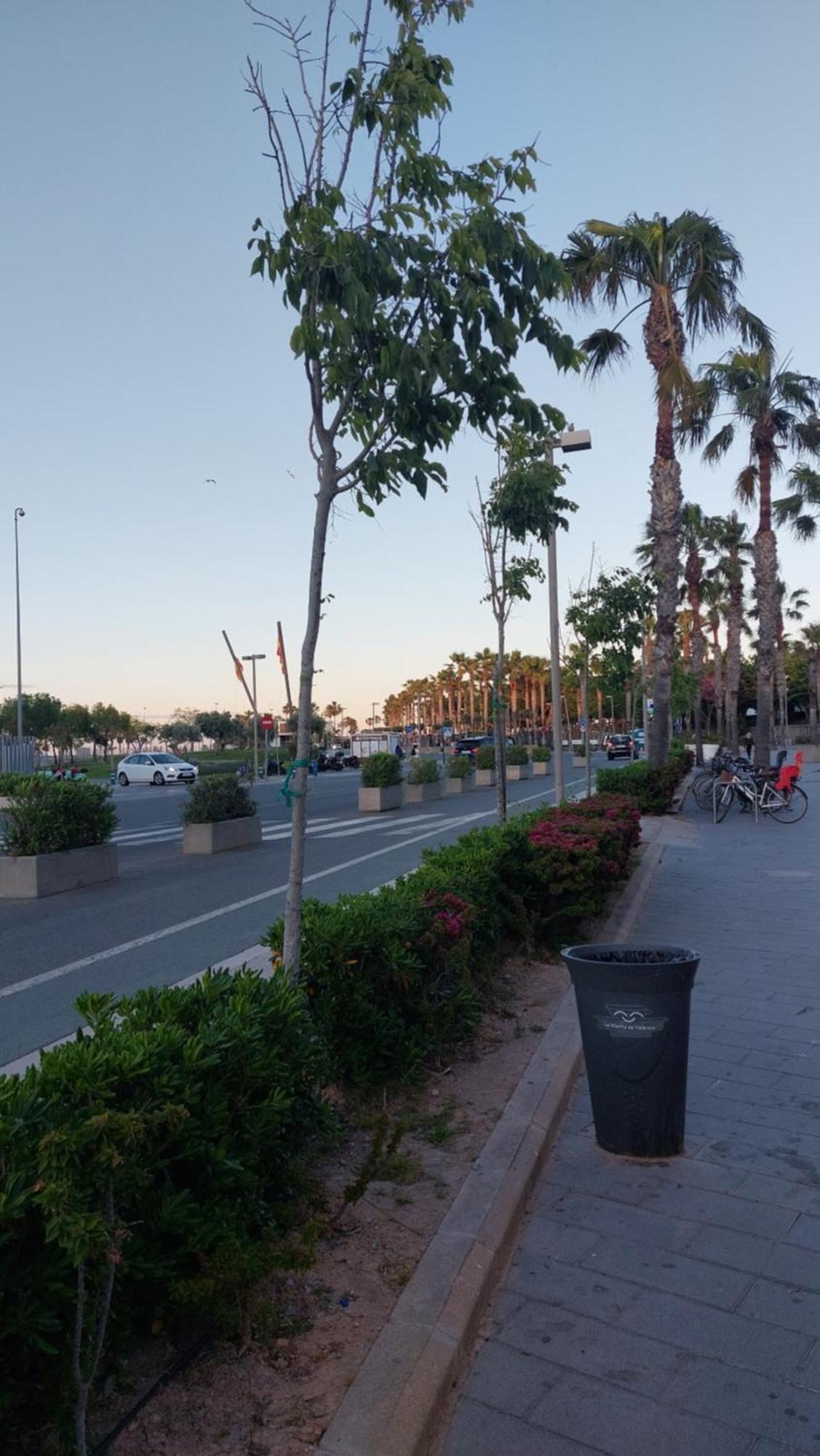 Lyesblb Aparthotel Valencia Ngoại thất bức ảnh